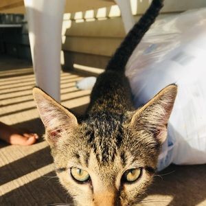 Meet your Posher, Eric